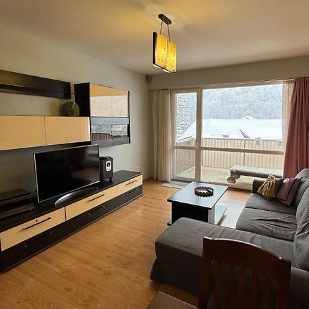 Miro Apartament シナヤ エクステリア 写真