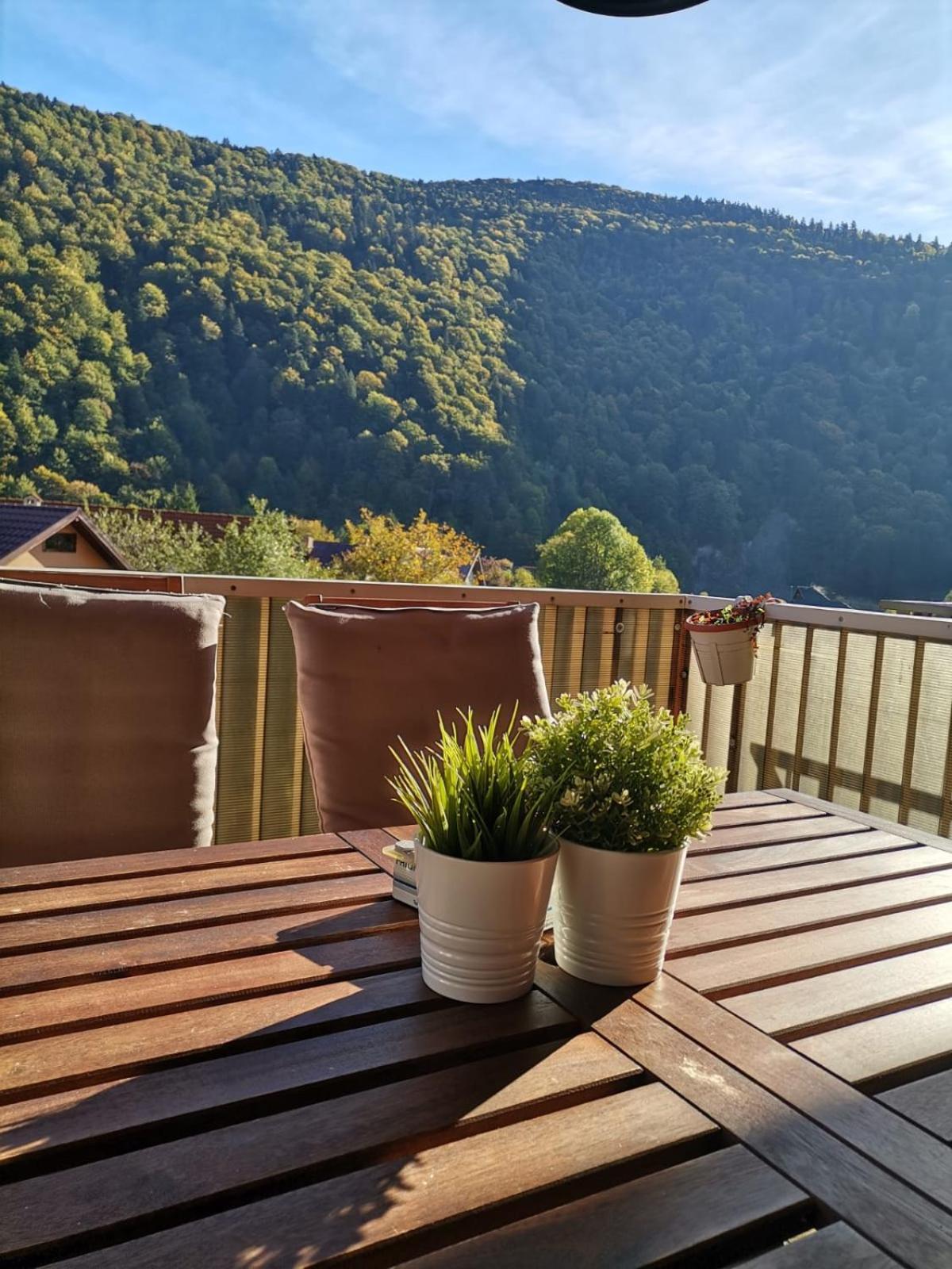 Miro Apartament シナヤ エクステリア 写真